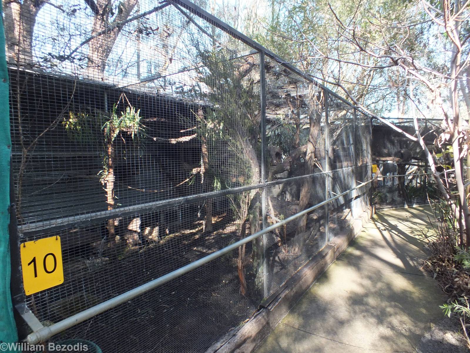 Large Squirrel Glider Enclosure