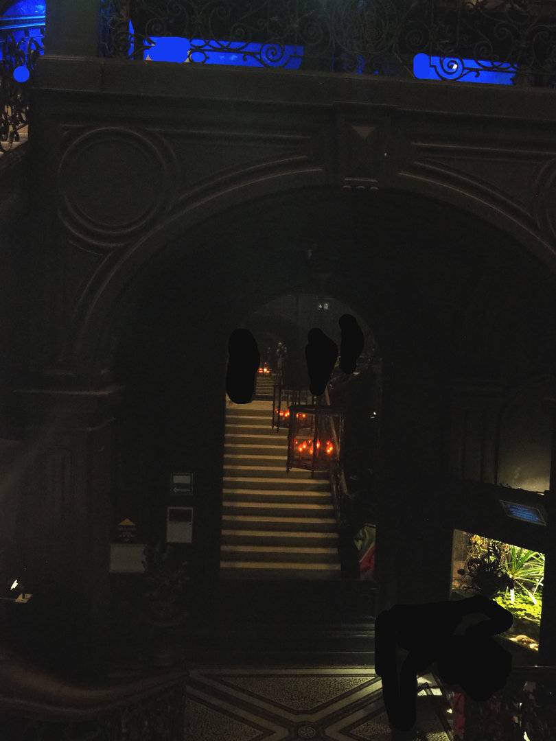 Large staircase and axolotl tank, 2022-09-14