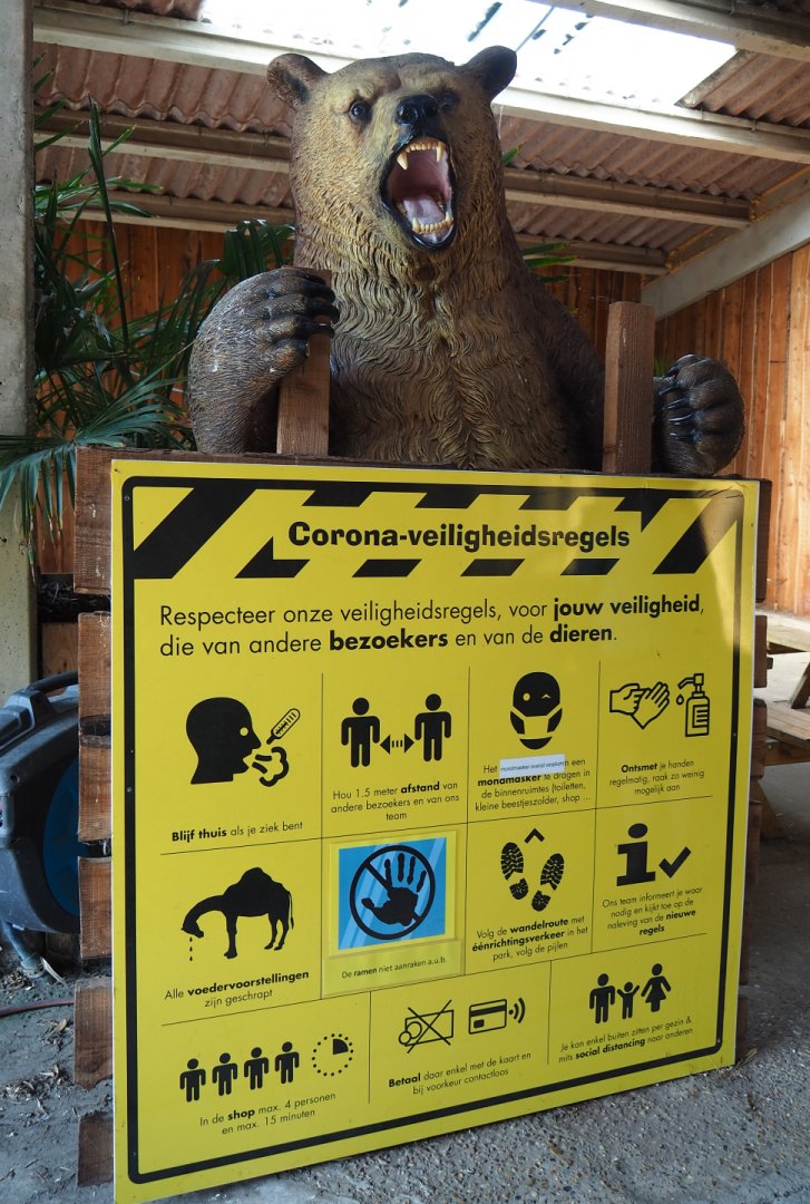Large standing bear statue with Covid-19 satety rules signage, 2020-09-12