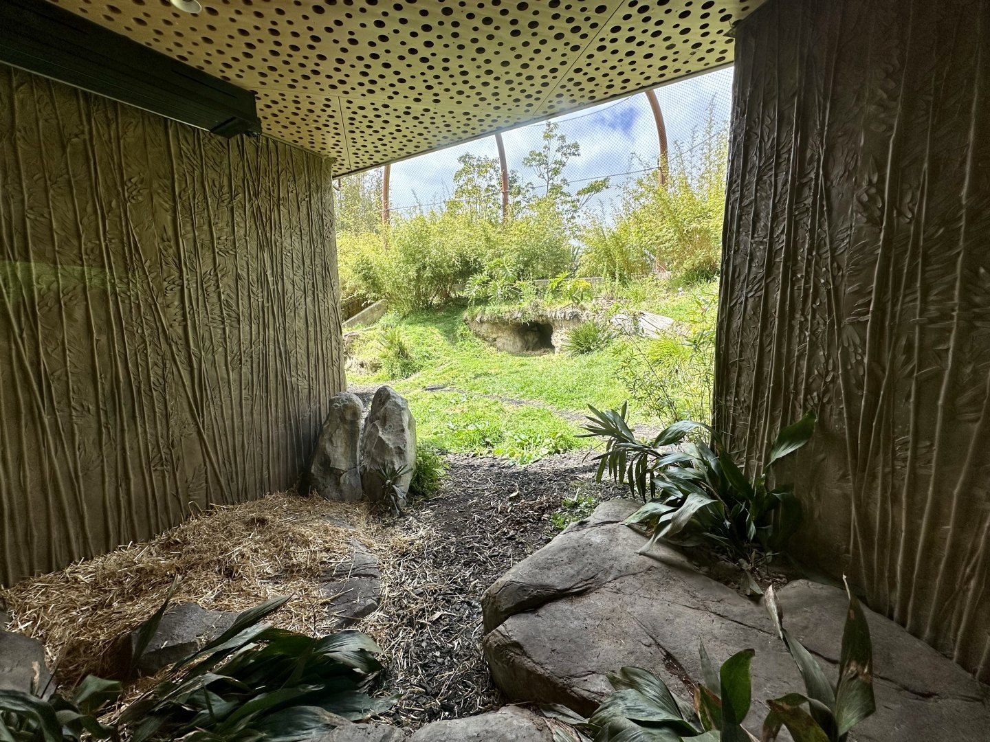 Large Sumatran Tiger Exhibit