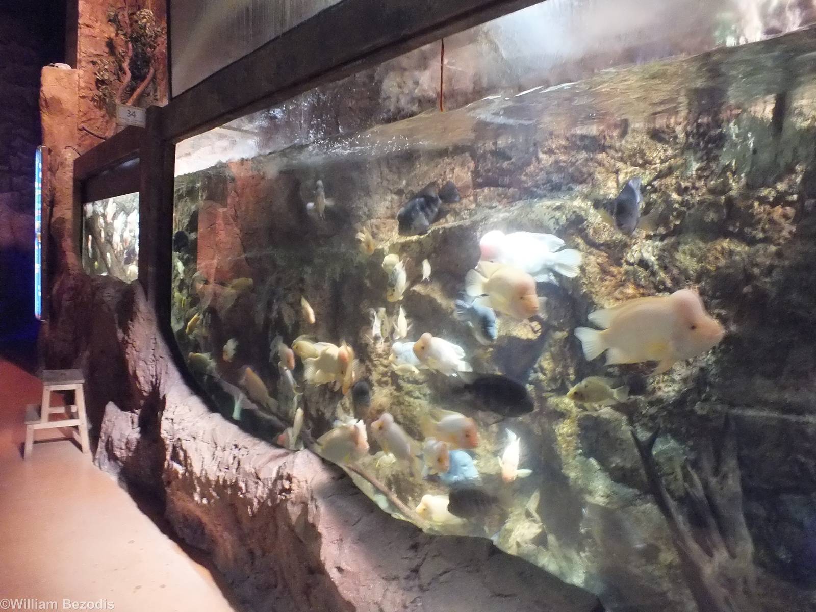 Large Tank - 'Lake Managua'