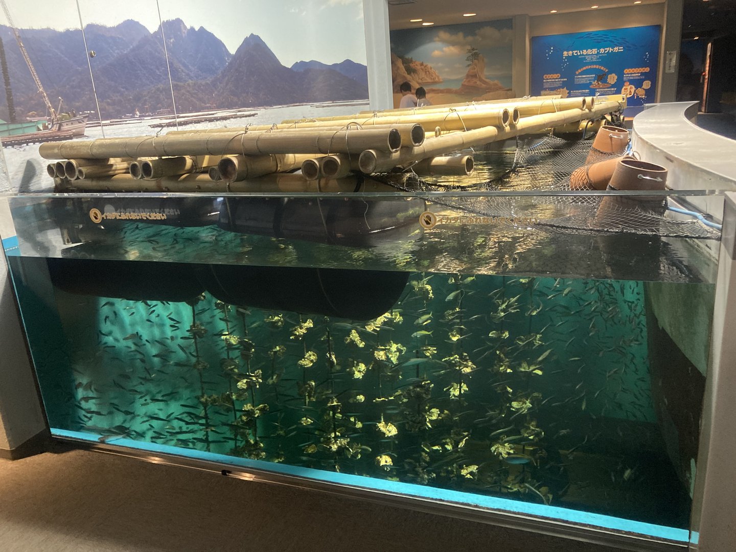 Large tank simulating oyster farm