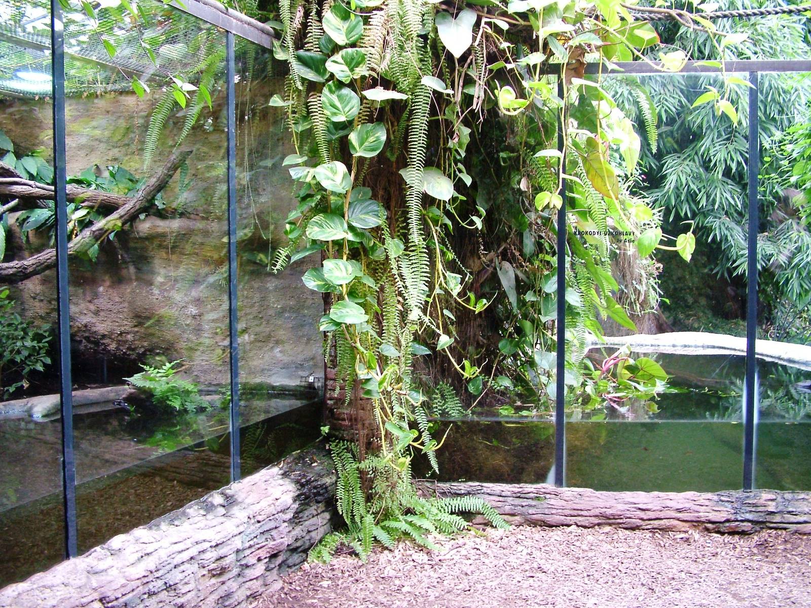 Large Terraria at Dvur Kralove, 27/08/12