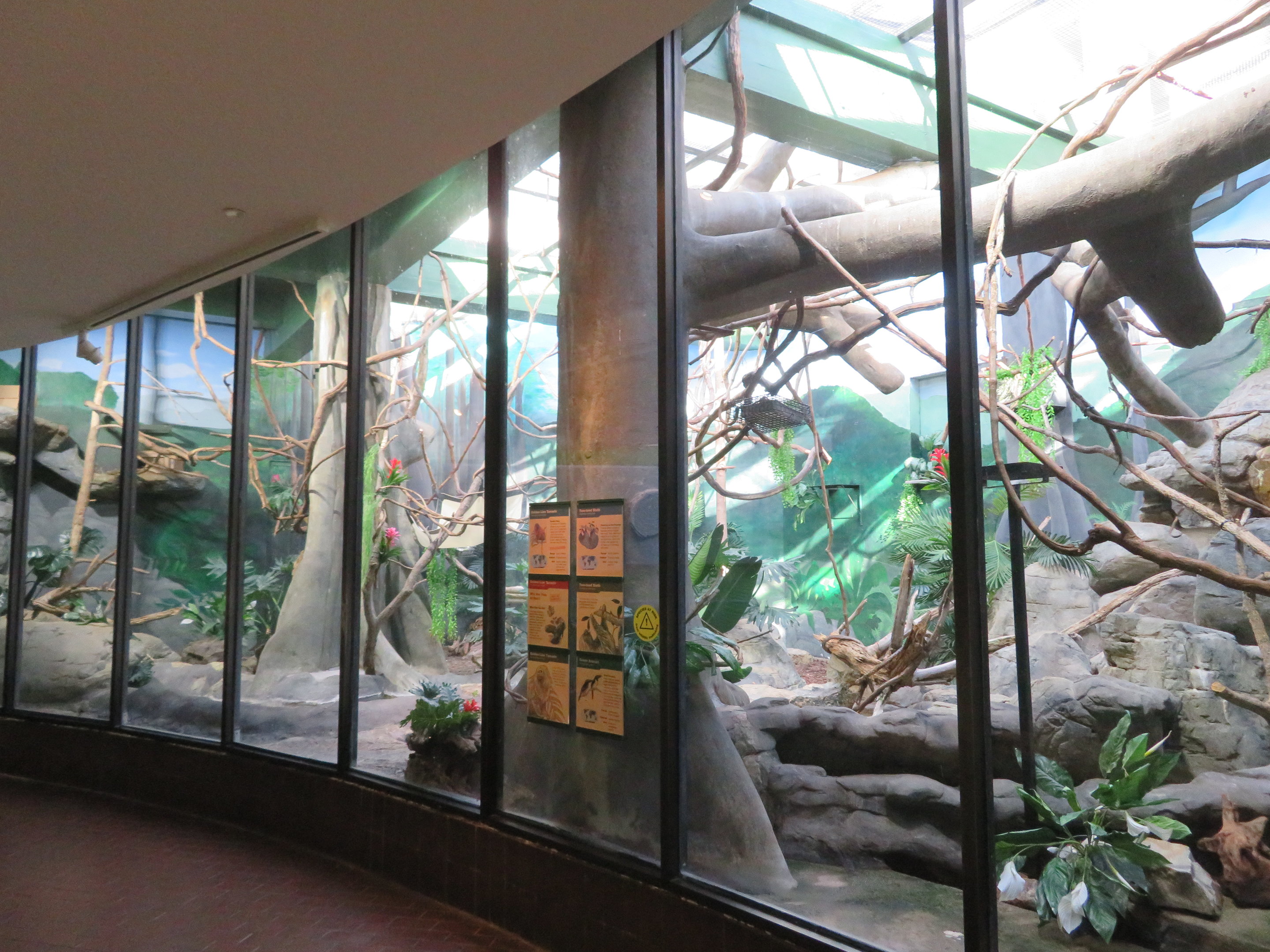 Large Tropical Exhibit
