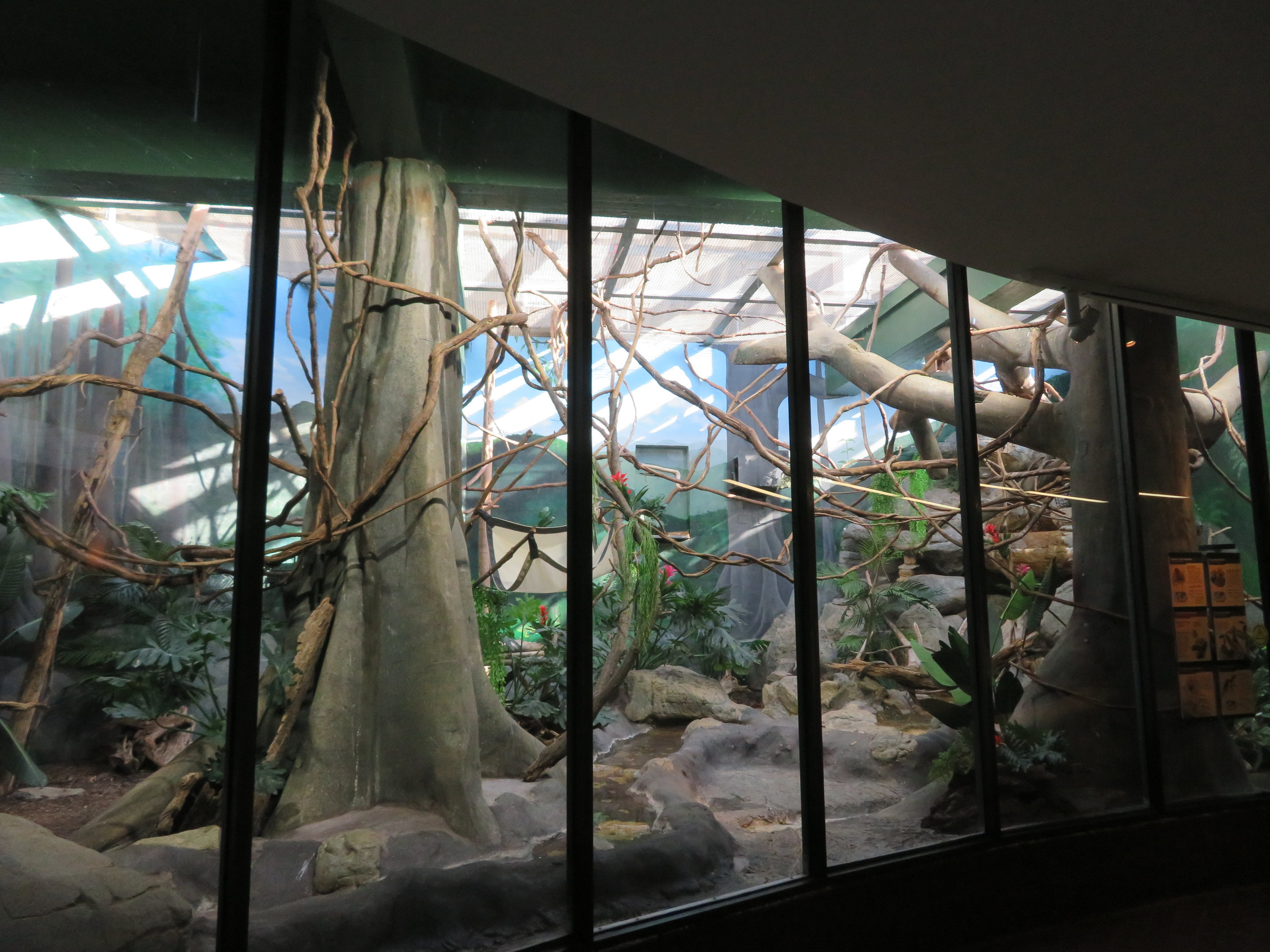 Large Tropical Exhibit