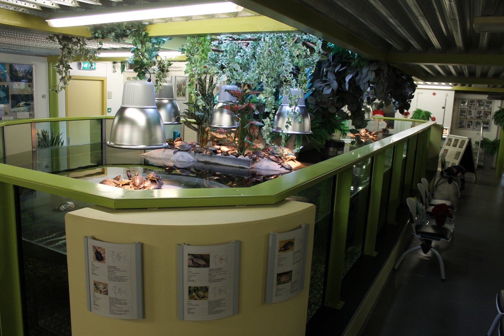 Large Turtle Enclosure