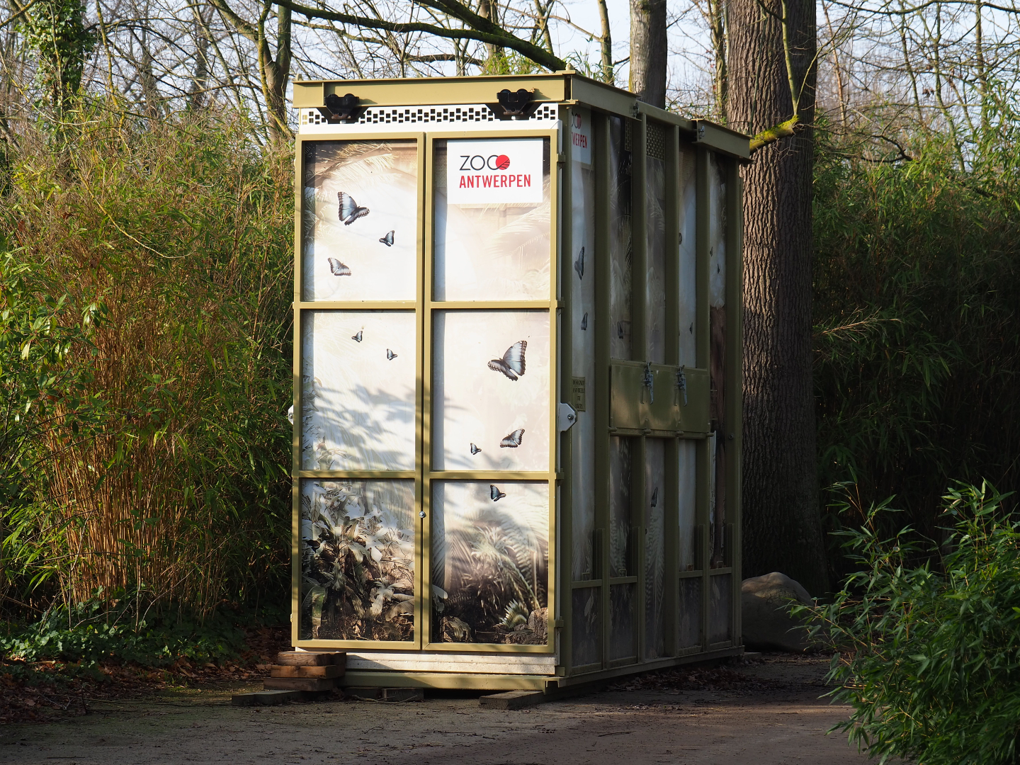 Large ungulate transport crate from Zoo Antwerpen, 2019-12-28