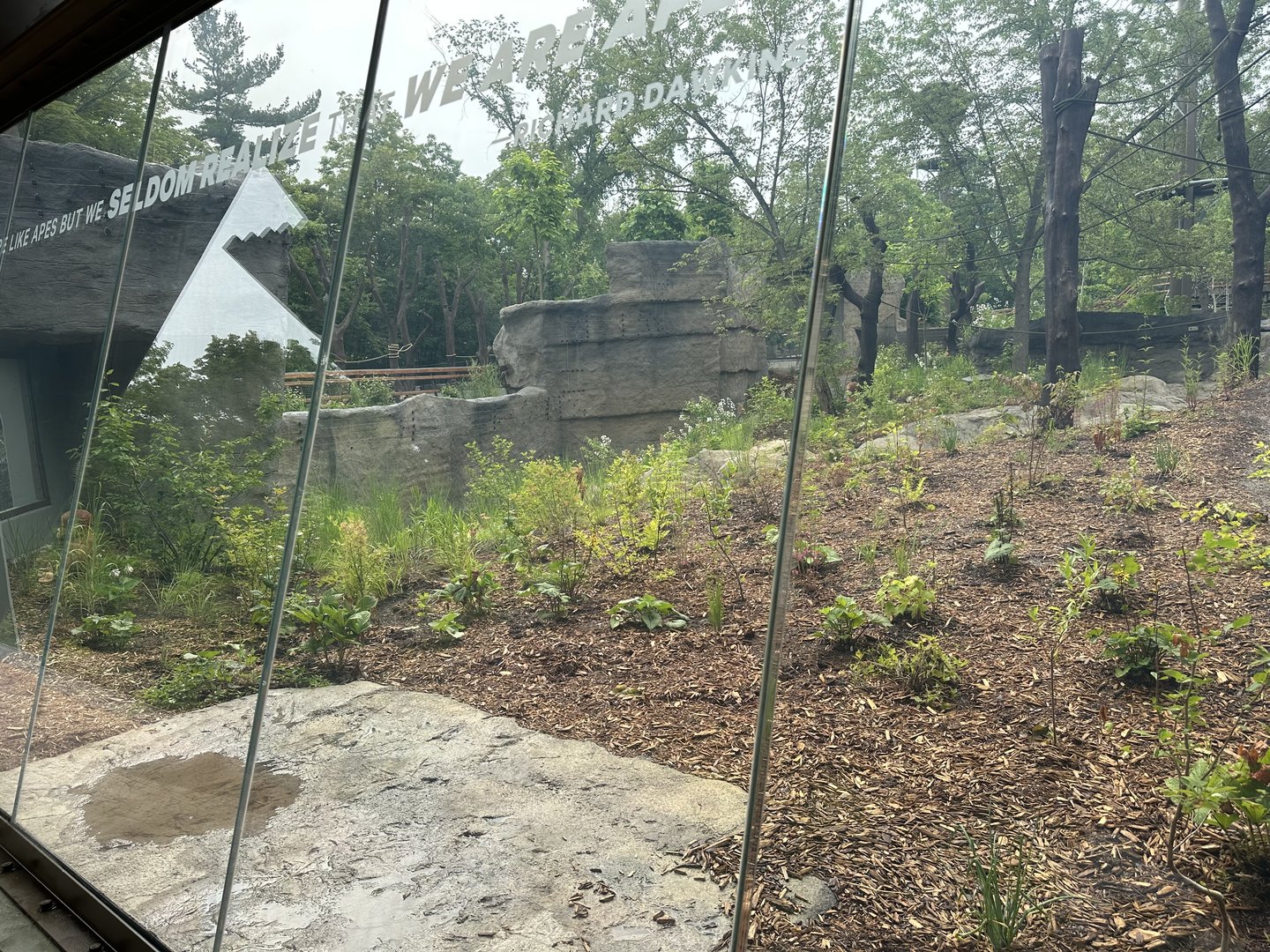 Large Viewing Window Upon Exiting the Pavilion