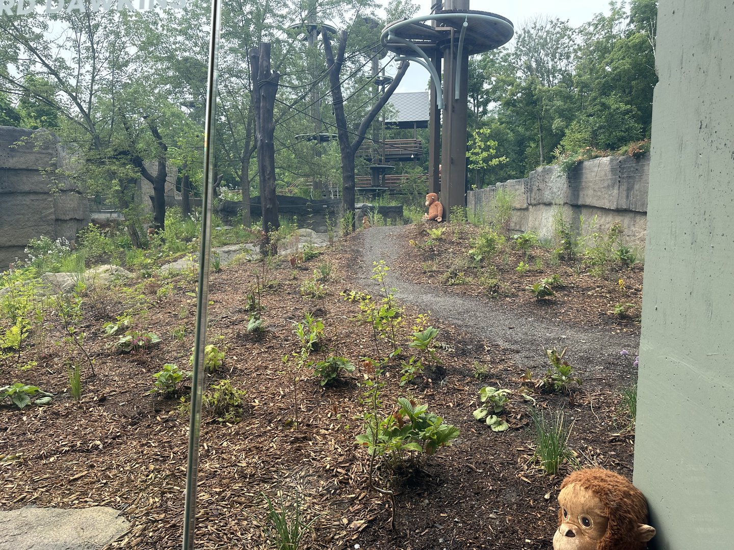 Large Viewing Window Upon Exiting the Pavilion