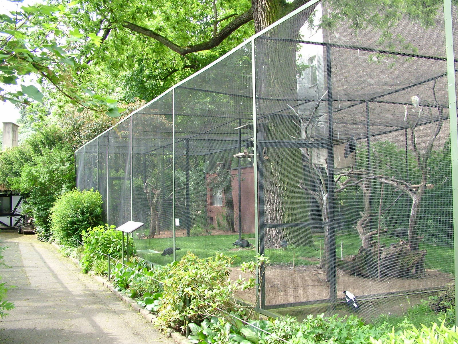 Large Wader aviary at Koeln 12/05/09