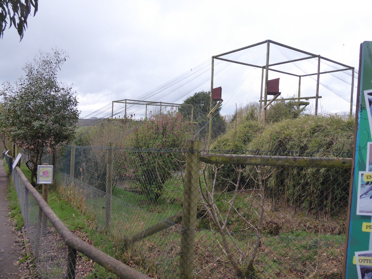 Large wading bird aviaries 150418