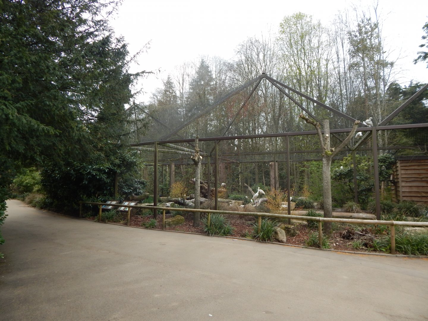 Large Wading Bird Aviary 210421