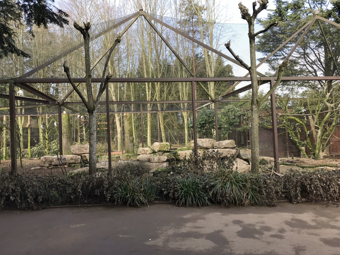 Large wading bird aviary 250318