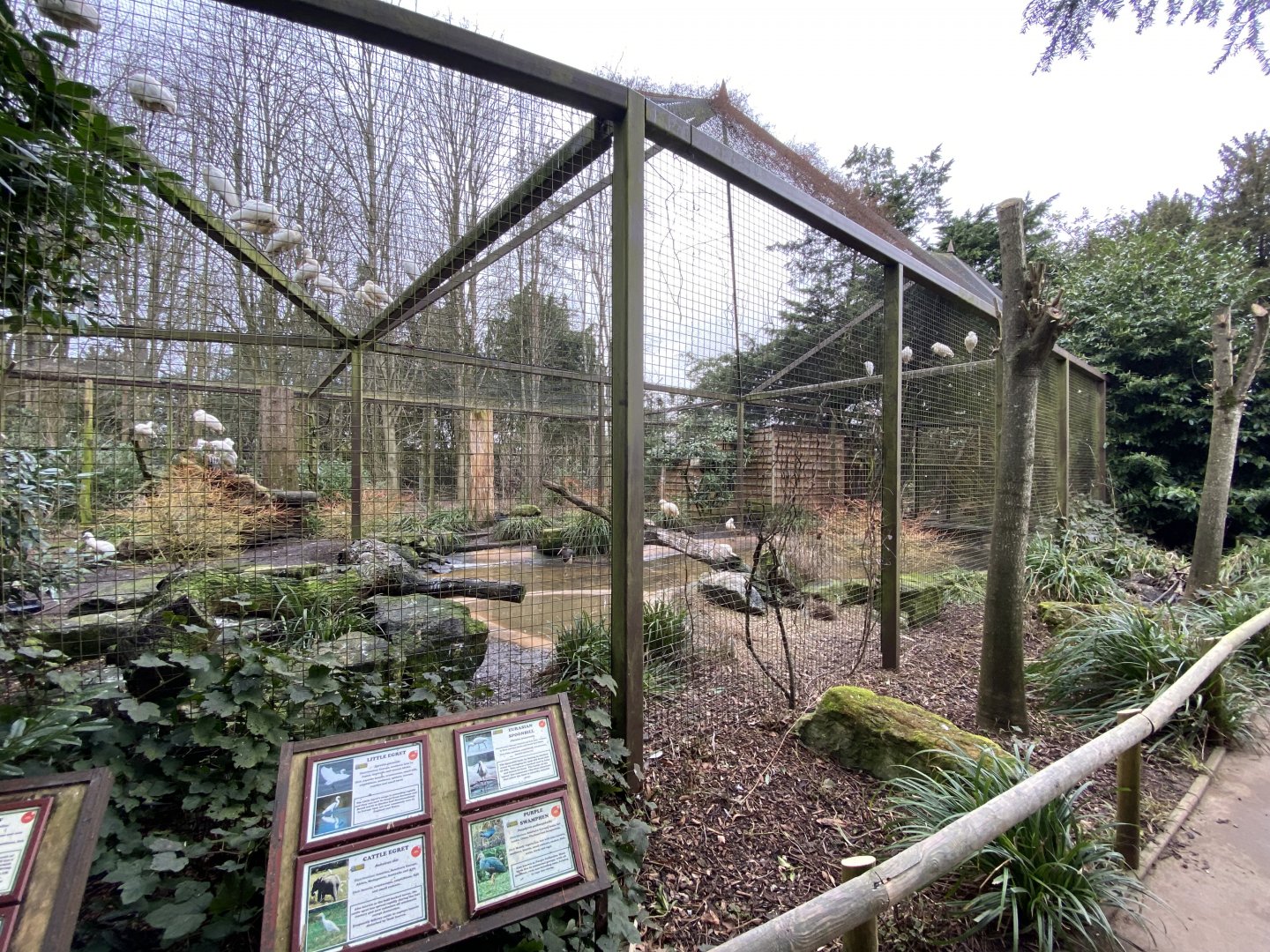 Large wading bird aviary 280222