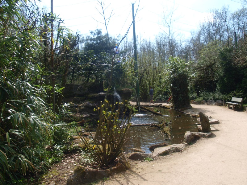 Large walk-through aviary (April 19th, 2015)