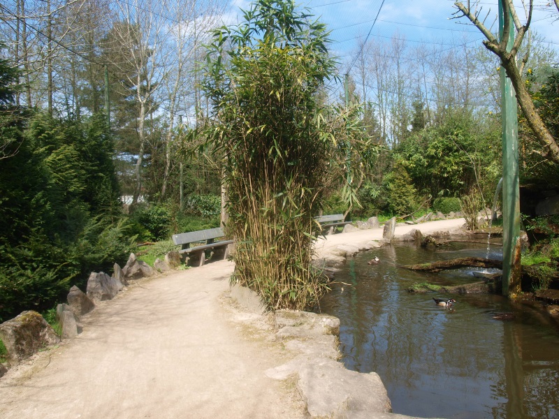 Large walk-through aviary (April 19th, 2015)