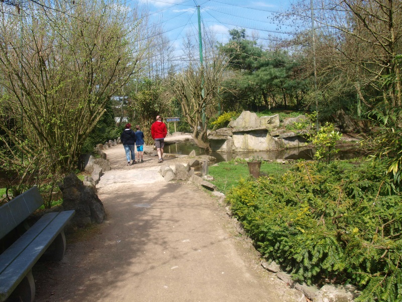 Large walk-through aviary (April 19th, 2015)