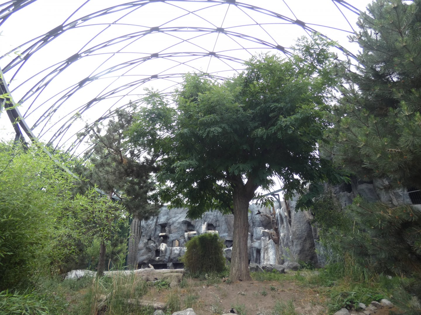 Large walk-through aviary