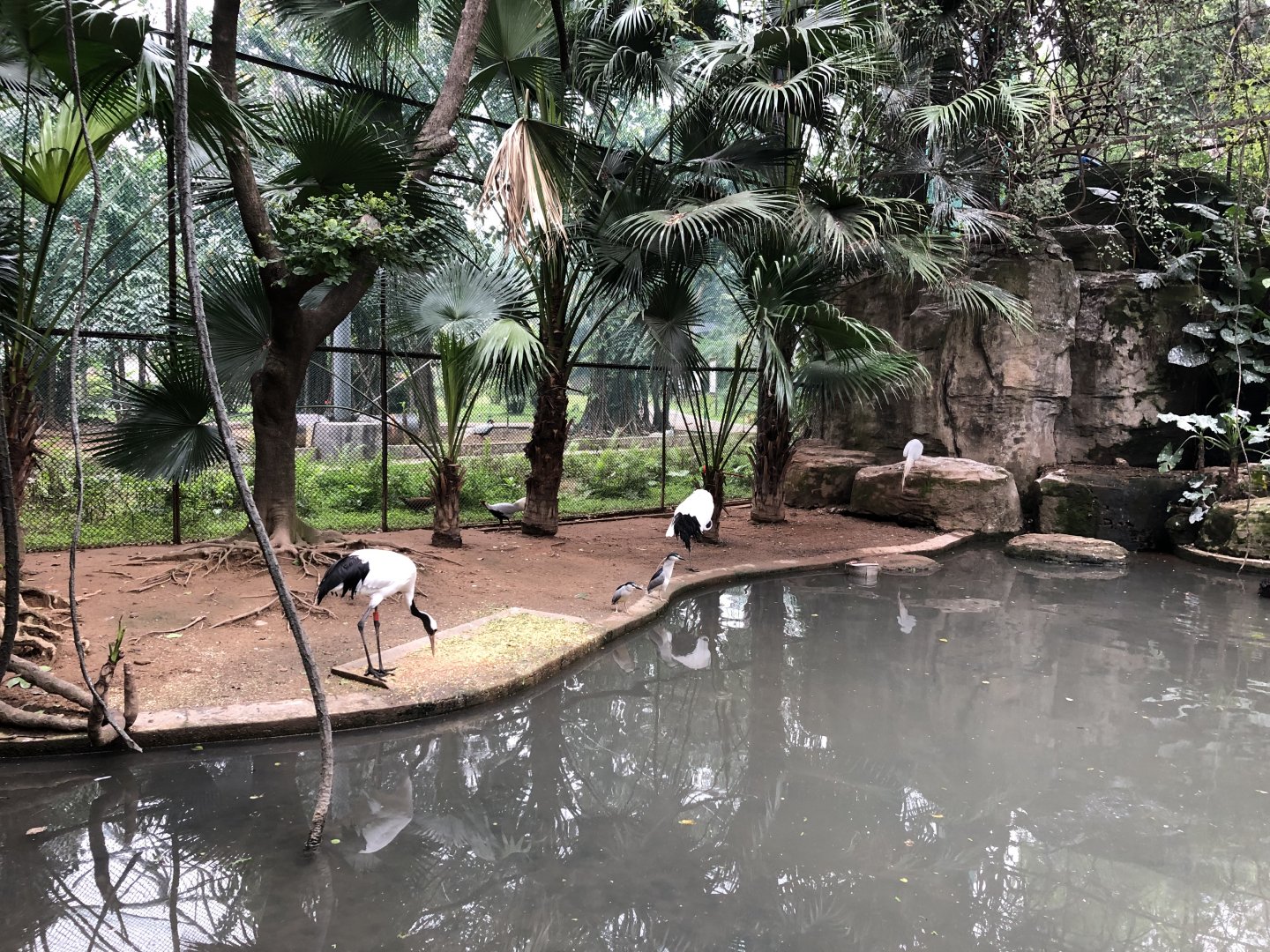 Large Walk-Through Aviary
