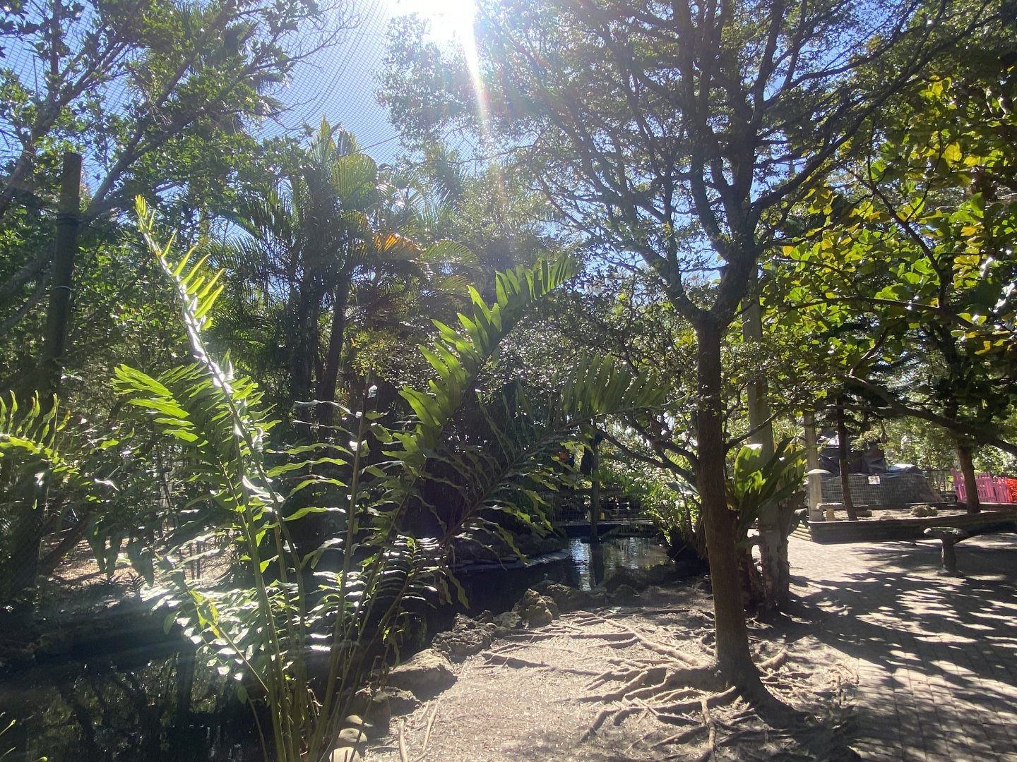 Large Walk-Through Aviary