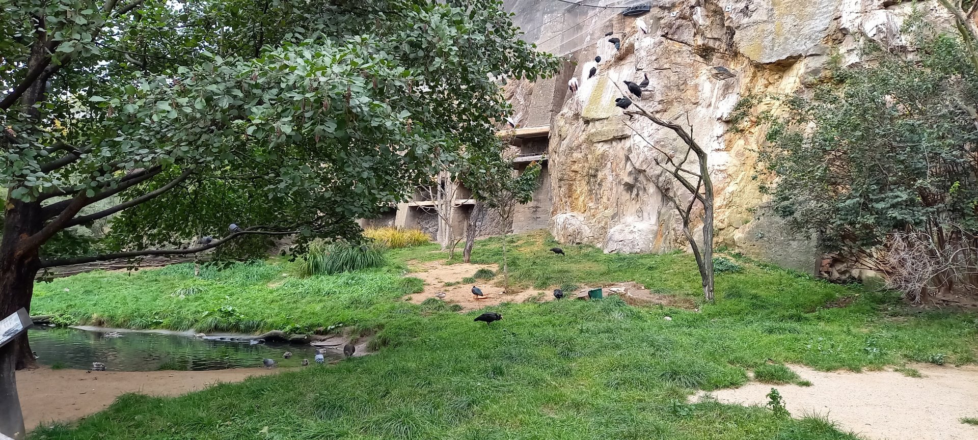 Large Walk-through aviary