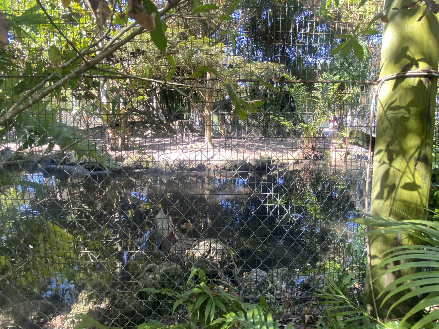 Large Walk-Through Aviary