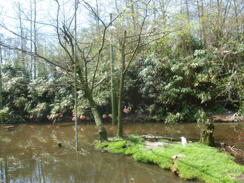 Large walk-trough aviary (April 19th, 2015)