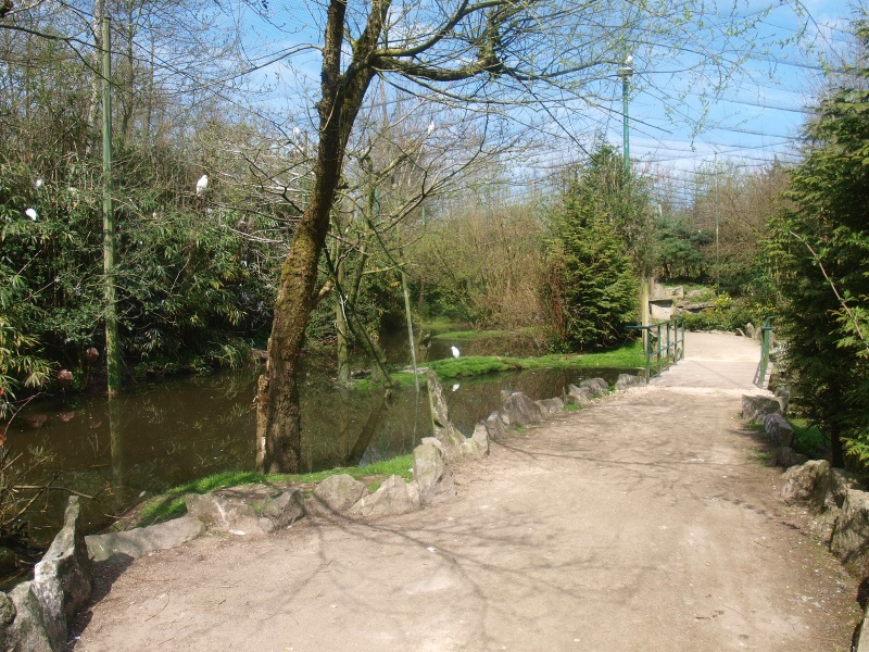 Large walk-trough aviary (April 19th, 2015)