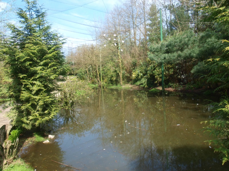 Large walk-trough aviary (April 19th, 2015)