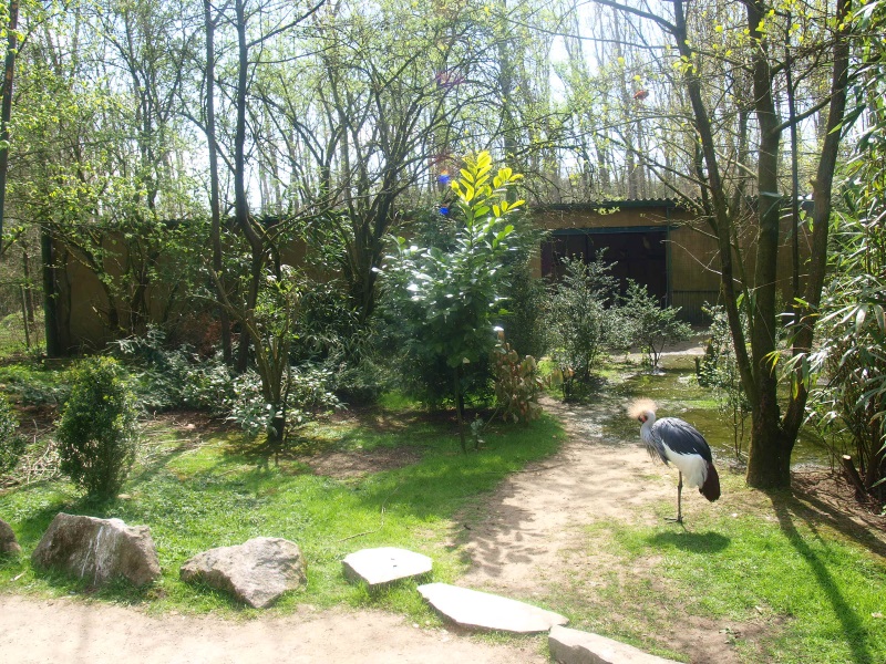 Large walk-trough aviary, barn (April 19th, 2015)