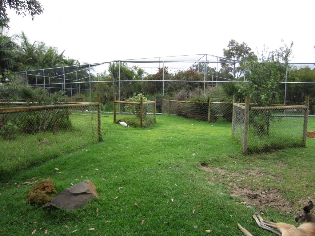 Large Walkthrough aviary exterior