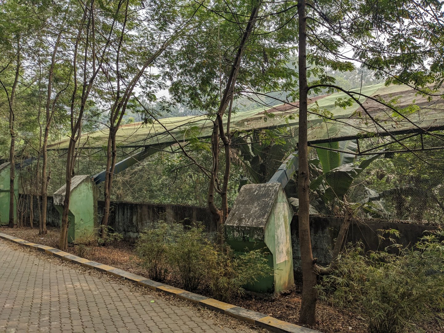 Large walkthrough aviary from the top