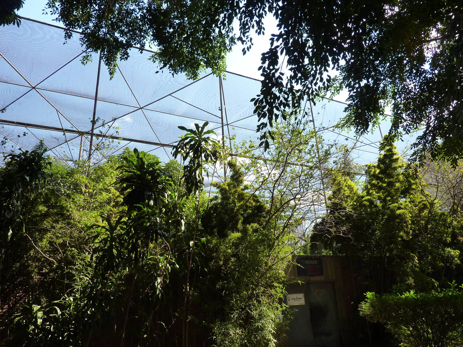 Large walkthrough aviary