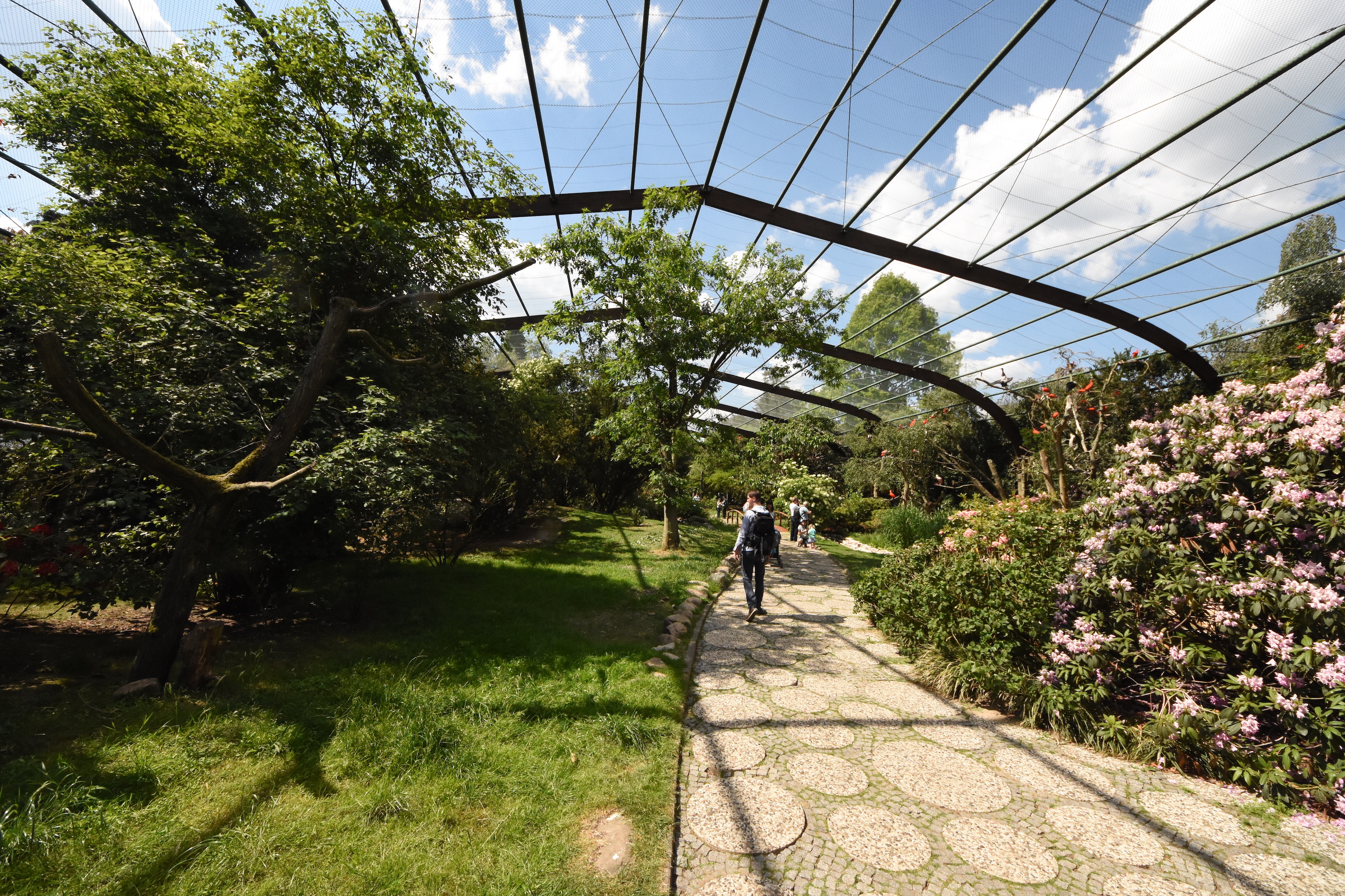 Large walkthrough aviary