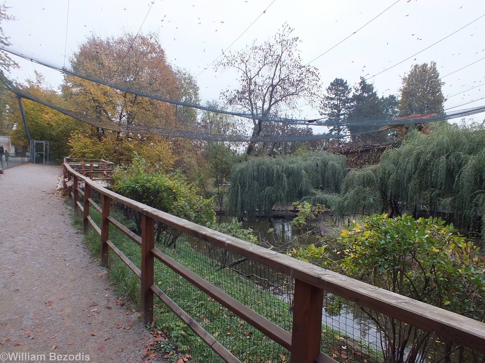 Large Walkthrough Waterfowl Aviary