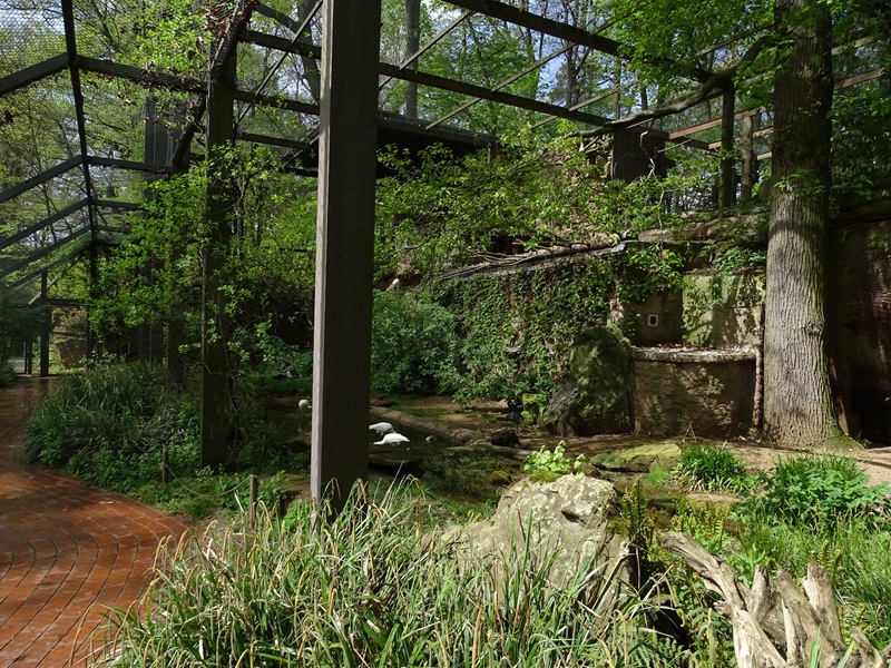 Large waterbird aviary