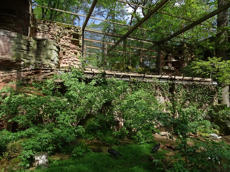 Large waterbird aviary