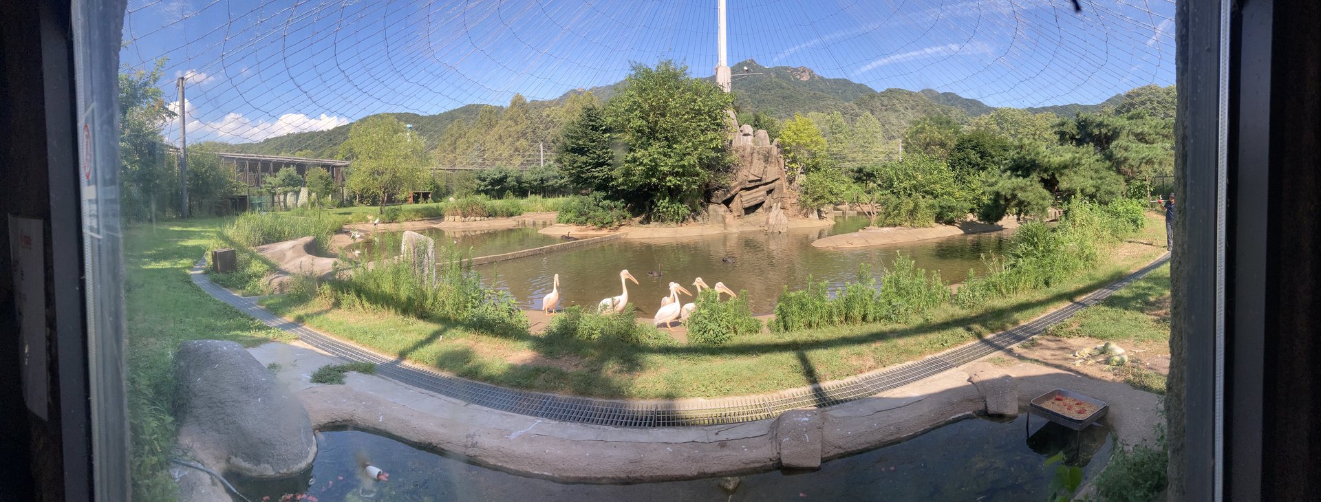 Large waterfowl aviary (pano)