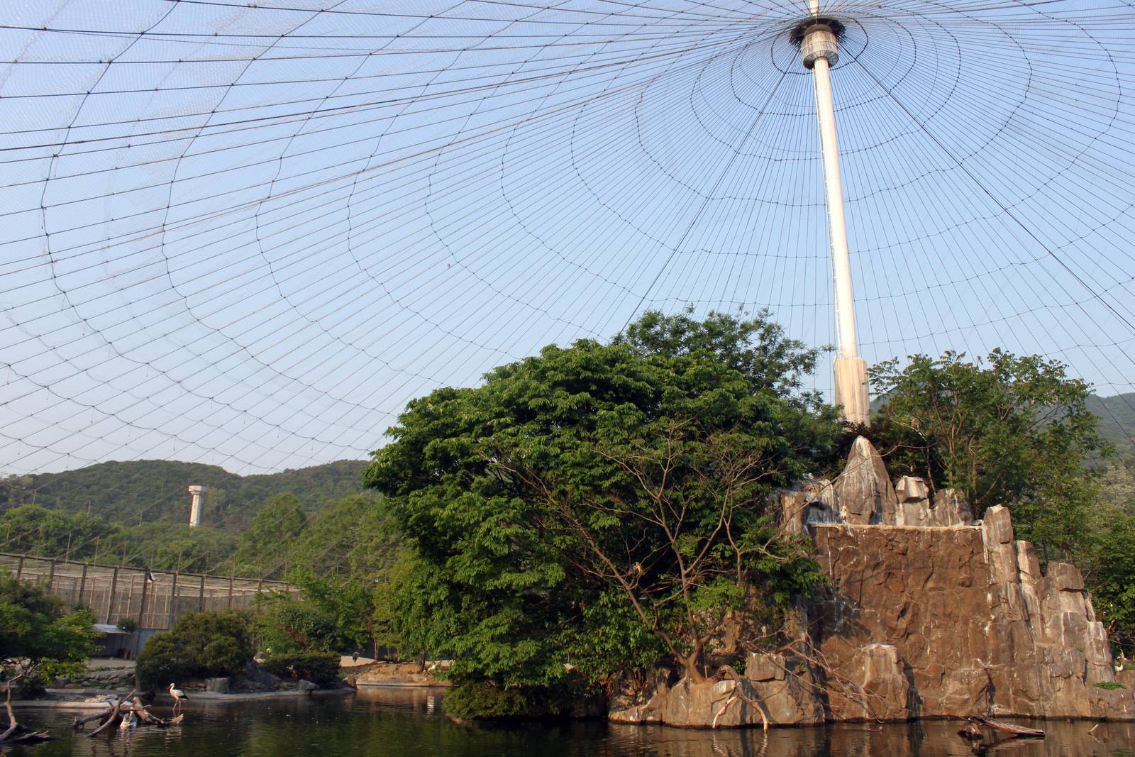 Large Waterfowl Aviary