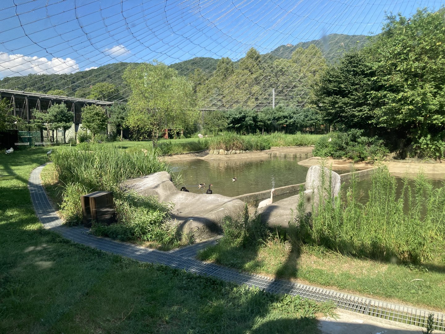 Large waterfowl aviary