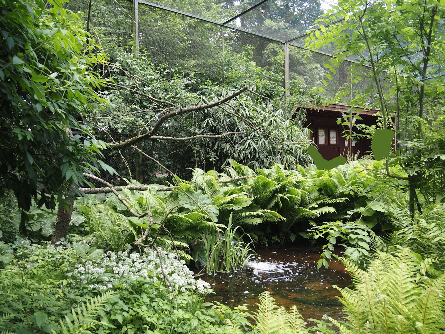 Large wetland walk-through aviary, 2025-05-22