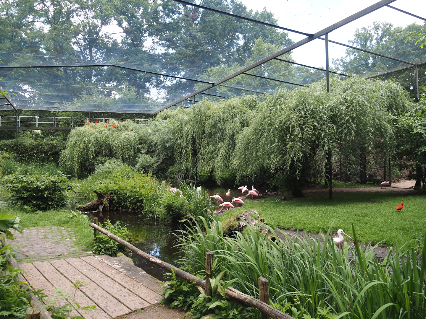 Large wetland walk-through aviary, 2025-05-22