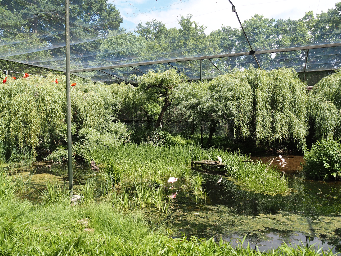 Large wetland walk-through aviary, 2025-05-22