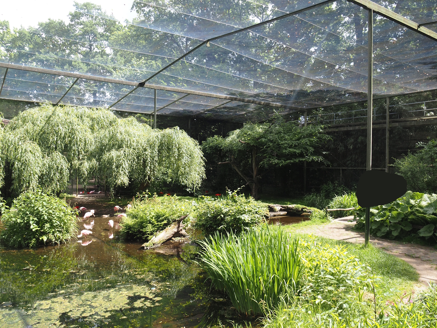 Large wetland walk-through aviary, 2025-05-22