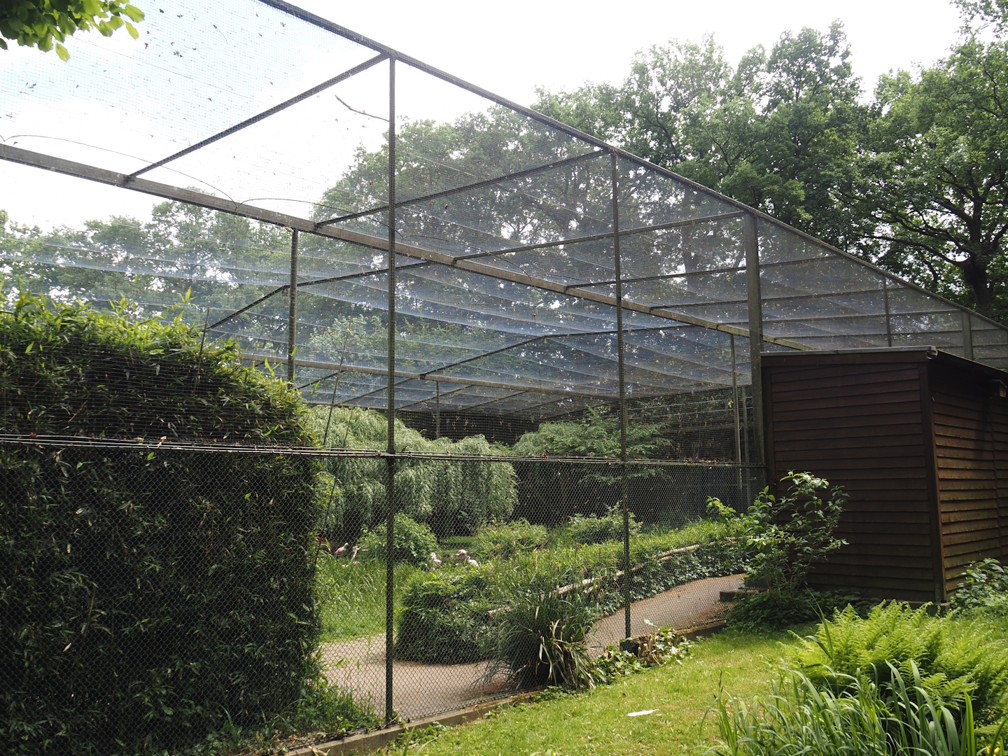 Large wetland walk-through aviary, 2025-05-22