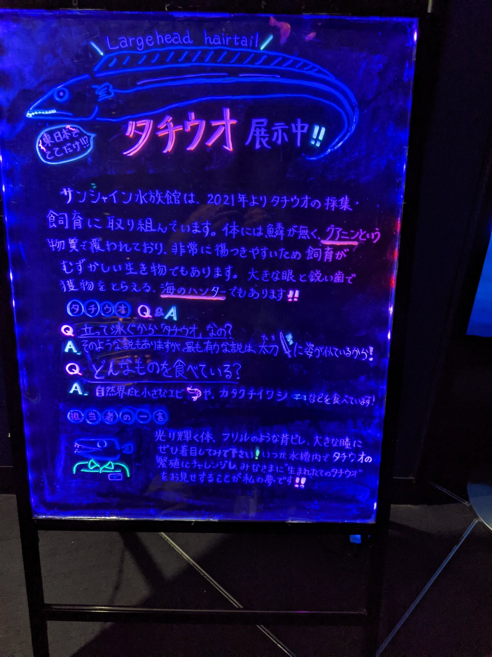 Largehead Hairtail signage