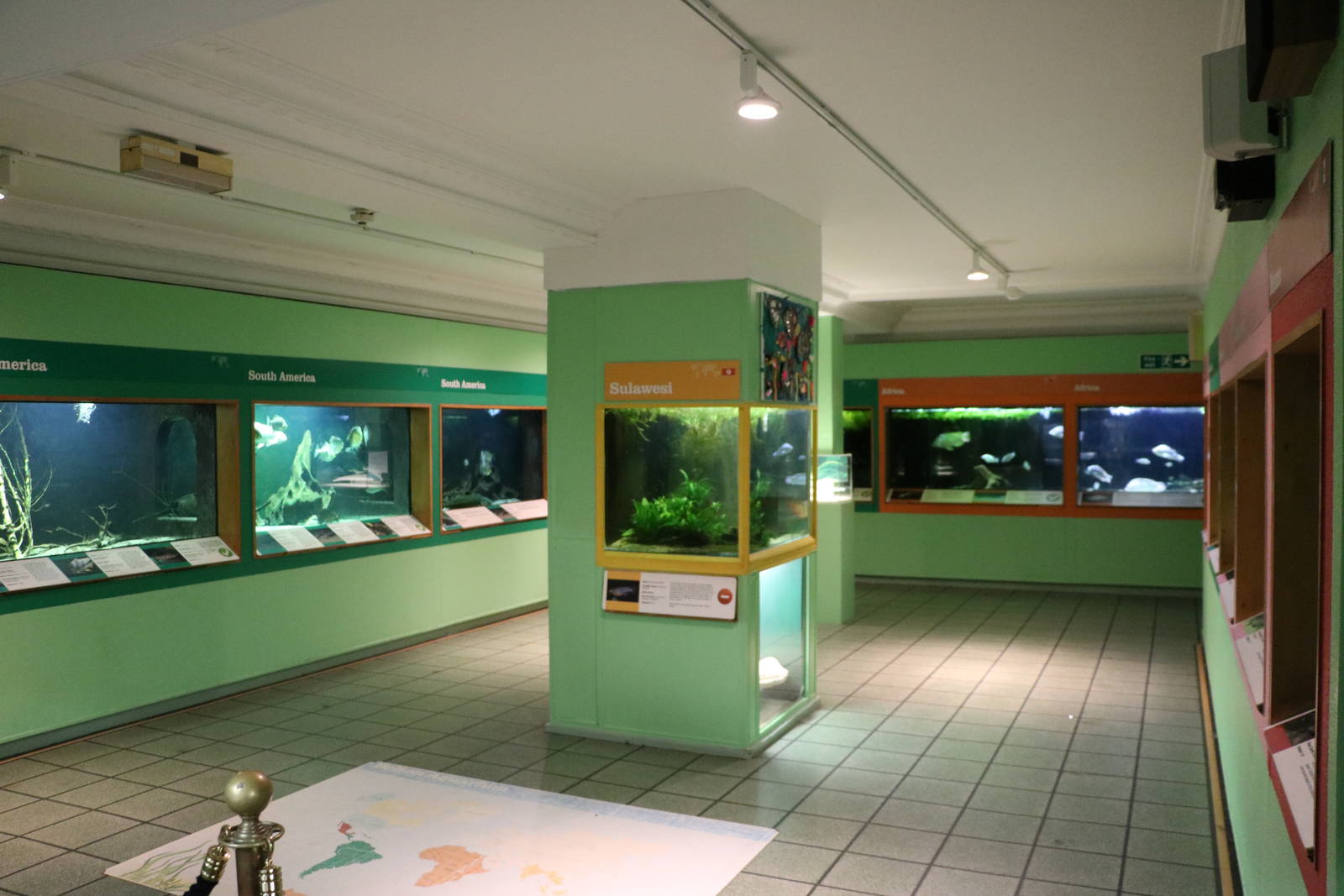Larger fish hall - Bolton Museum, September 2015