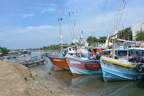 Larger fishing boats