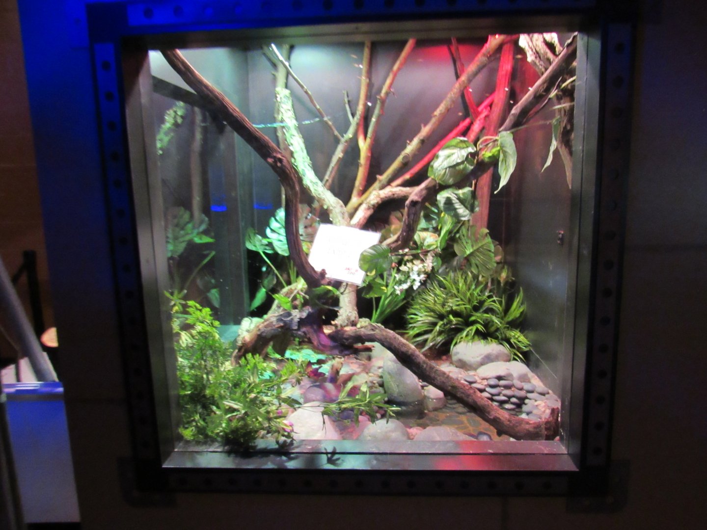 Larger New Exhibit Update in Curious Creatures