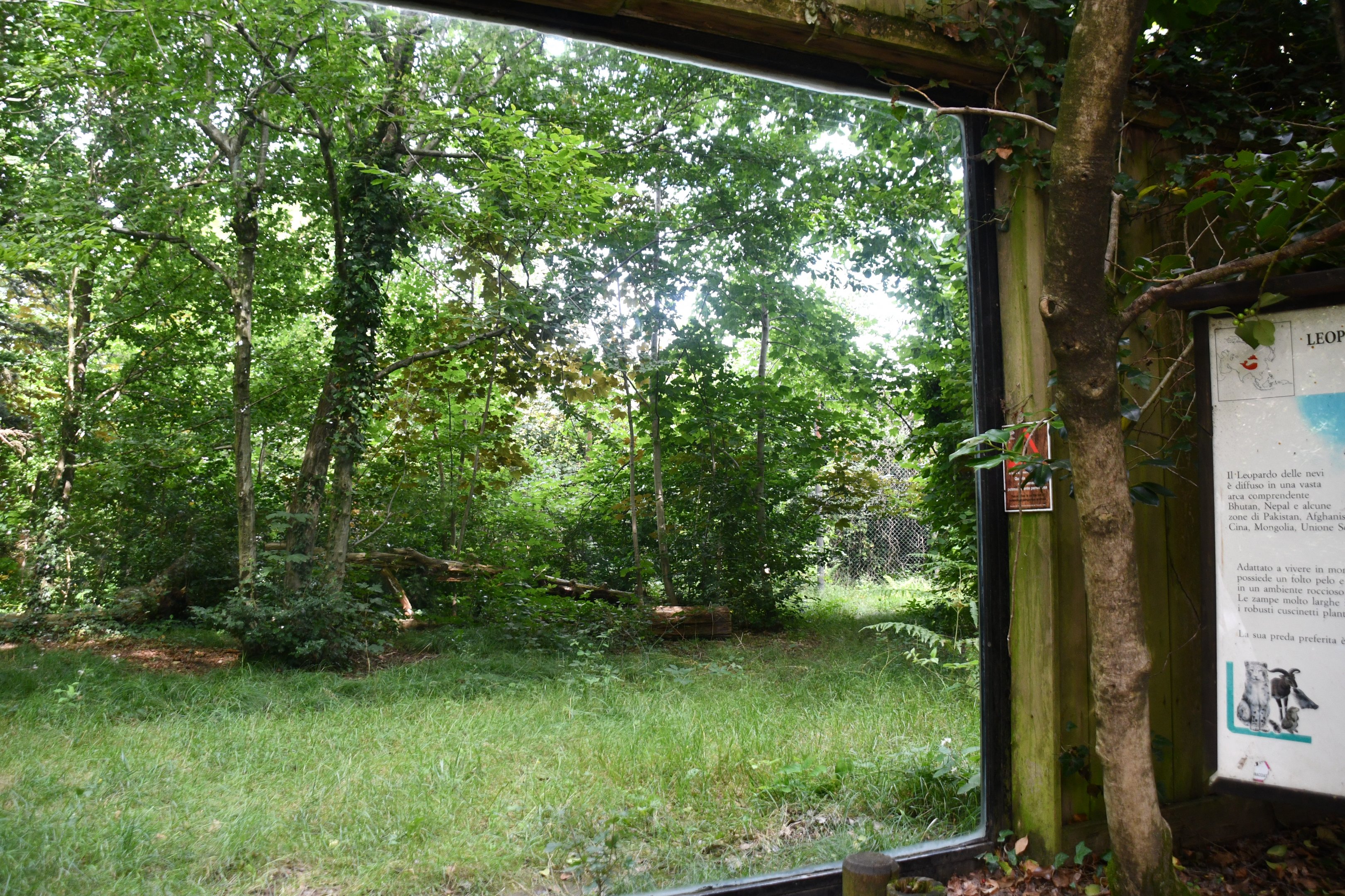 larger of the two Snow Leopard exhibits